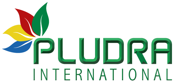 Pludra International